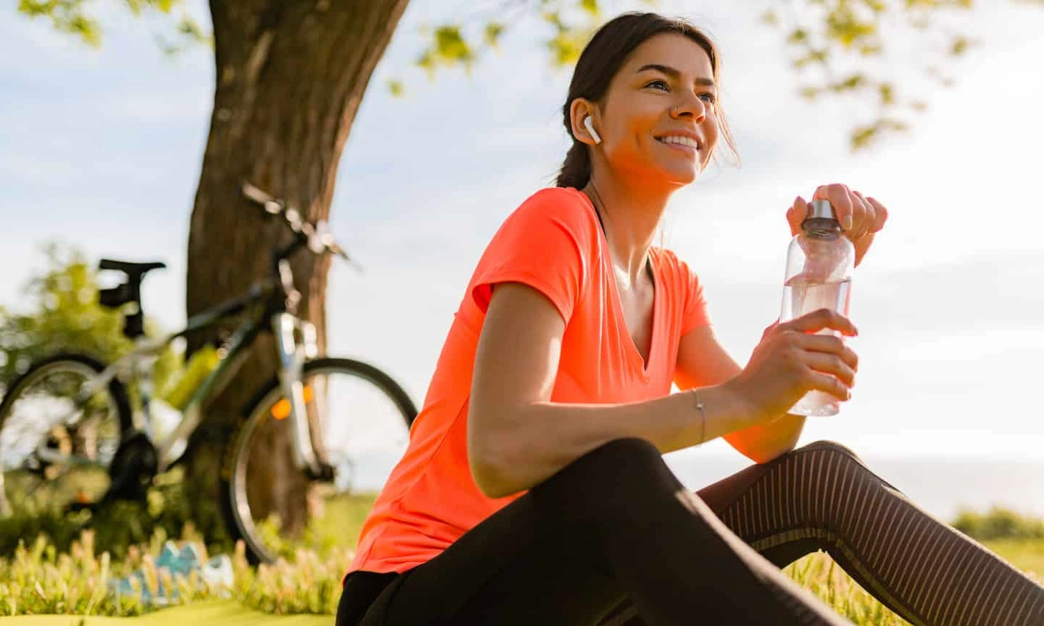 Los 4 Pilares de la Salud: Aprende como Construir Salud