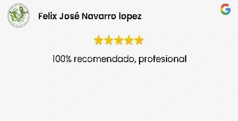 Testimonio de Google 7